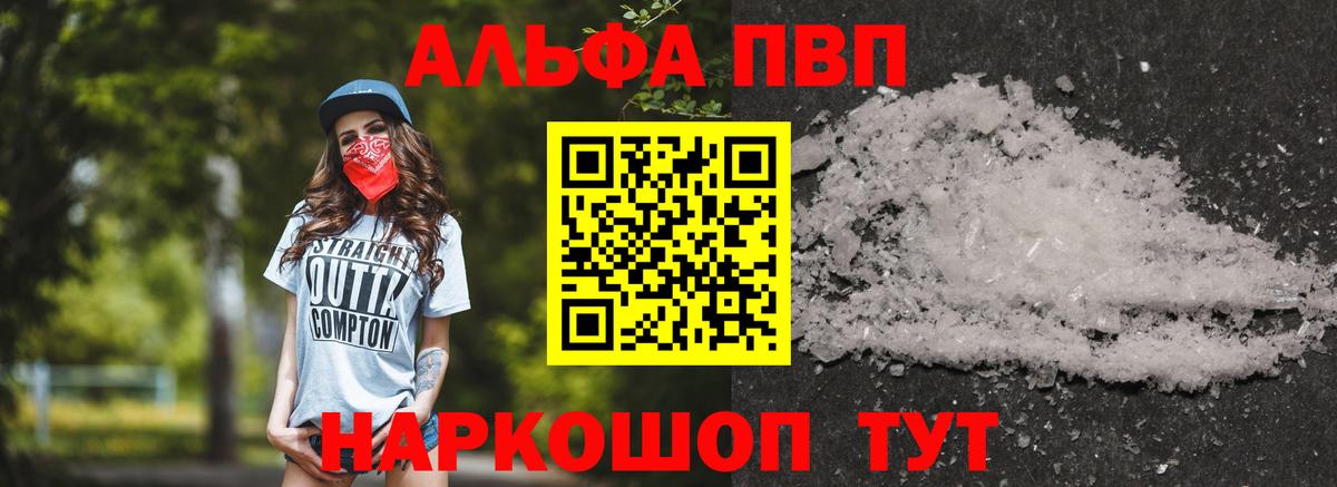 Alfa_PVP СК Калининград