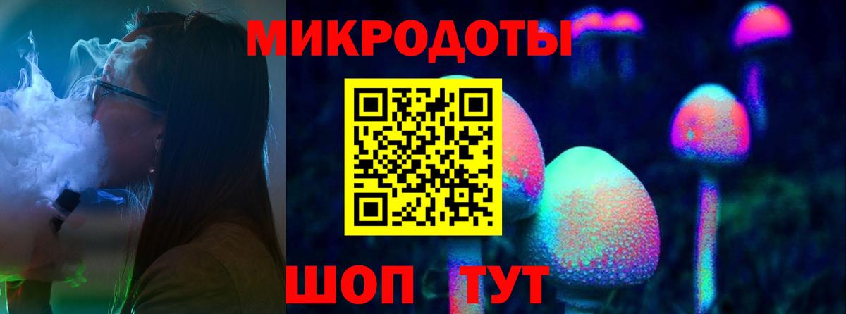 Калининград  наркотики  Вход с VPN  Галлюциногенные грибы прущие грибы 